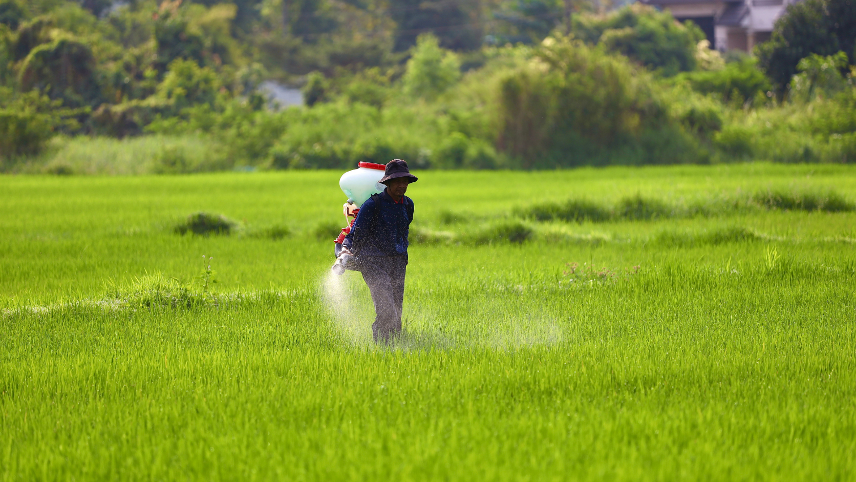 Hvad bruges monoethanolamin til i landbrugskemikalier?